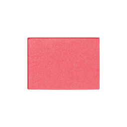 ブラッシュ　Ｎ（レフィル）